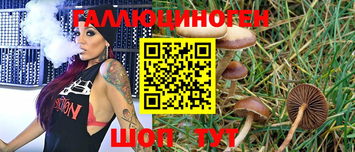 купить  цена  Вход с VPN  Серов  Псилоцибиновые грибы Cubensis 